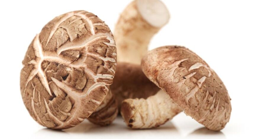 Os cogumelos shiitake fazem parte do Prostamin Forte